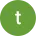 Tonya Icon